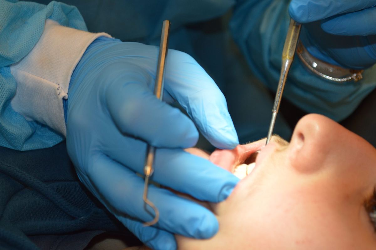 Orthodontic appliance